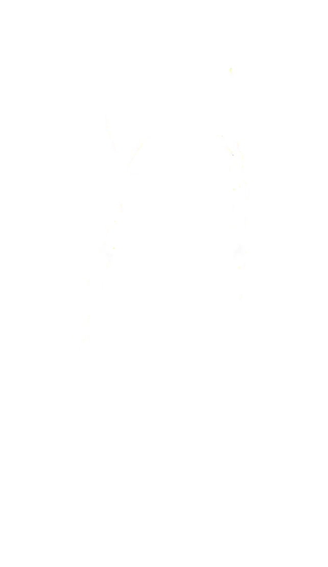 Symbol 1