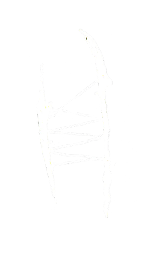 Symbol 2