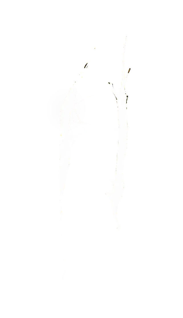 Symbol 3