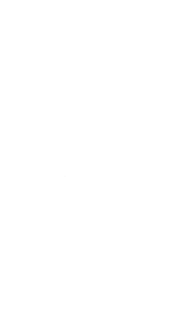 Symbol 4