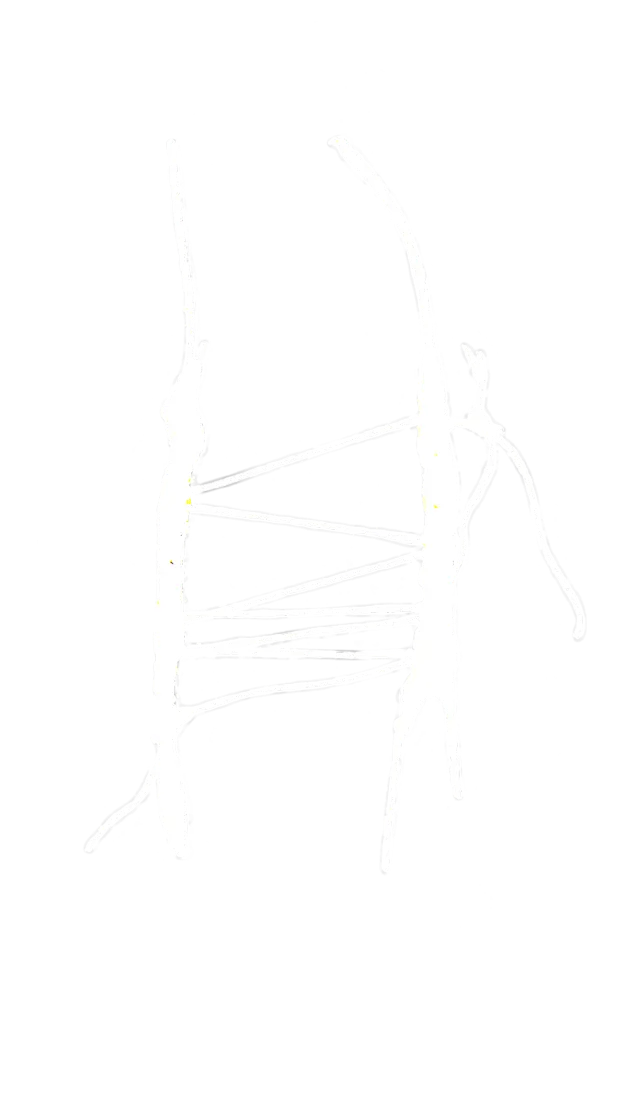 Symbol 5