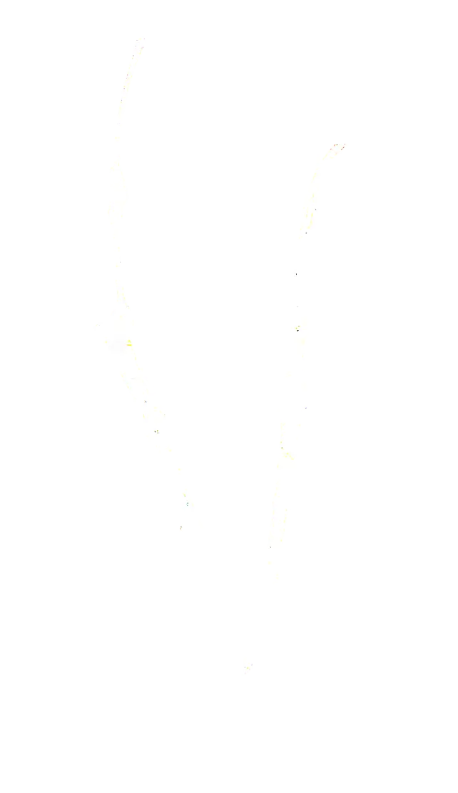 Symbol 6